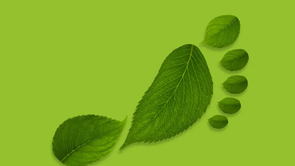 leaf-footprint.jpg-1.webp